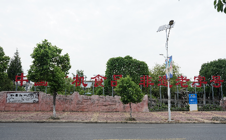 當(dāng)定制葛粉時(shí)，我們真正在選擇什么？