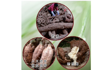買葛粉是買野生的好？還是野生有機(jī)的好？